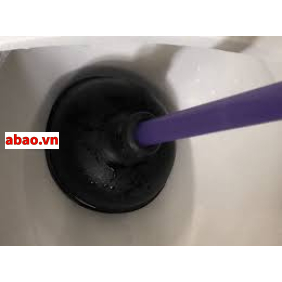 cây thụt bồn cầu
