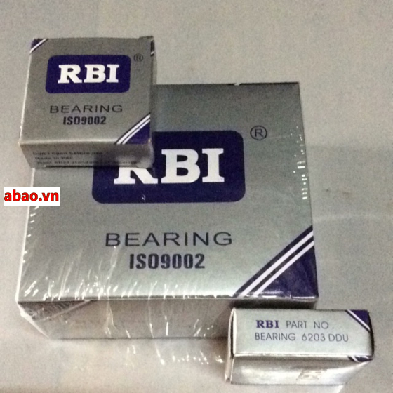 Bạc đạn RBI