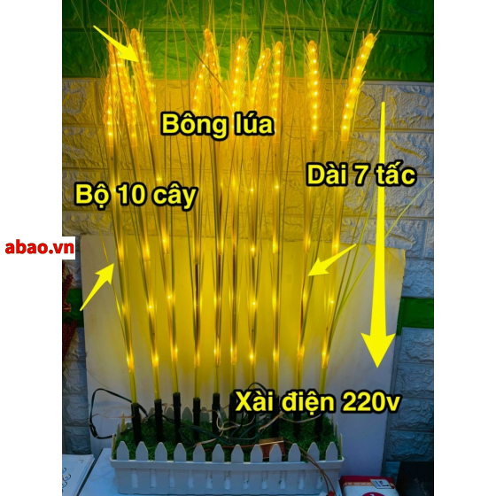 Led bông lúa